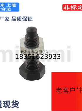 STBAM6-20/25 /30 /40 /50 STBAM8-25定位螺栓 螺纹前端R型