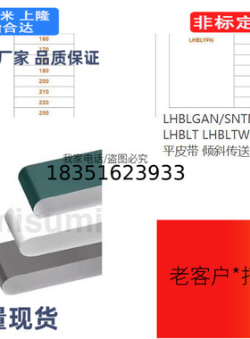 LHBLGAN/SNTN/YN LHBLT LHBLTWH /N平皮带 倾斜传送用