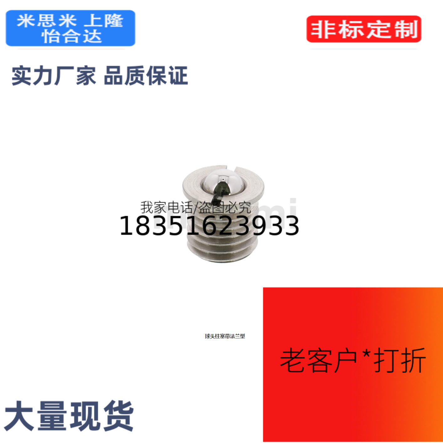 FBPJ5/6/8/10/12/16/FBPJS5/6/8/10/12/16/球头柱塞带法兰型