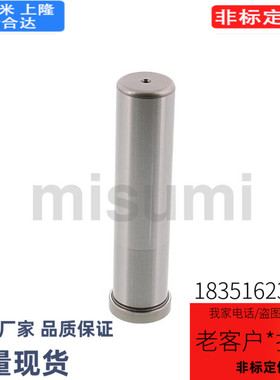 替卸料板导柱 SGPH SGOH8 10 13 16 20 25-40 50 60 70 80 90 100