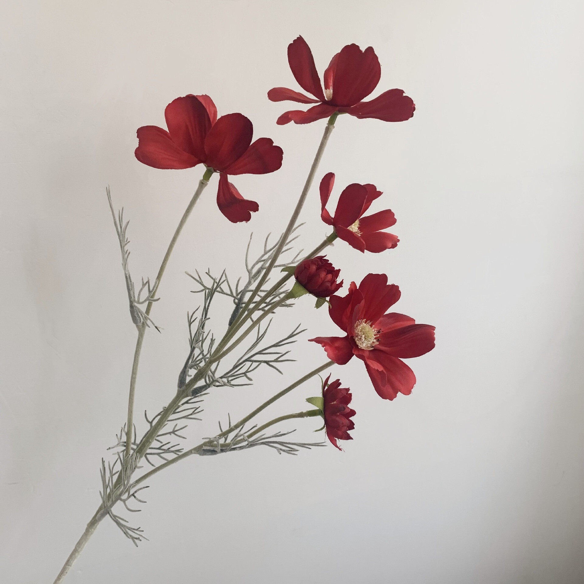 小菊花波斯菊仿真花餐桌复古婚礼绢花道具北欧装扮摆设氛围花束