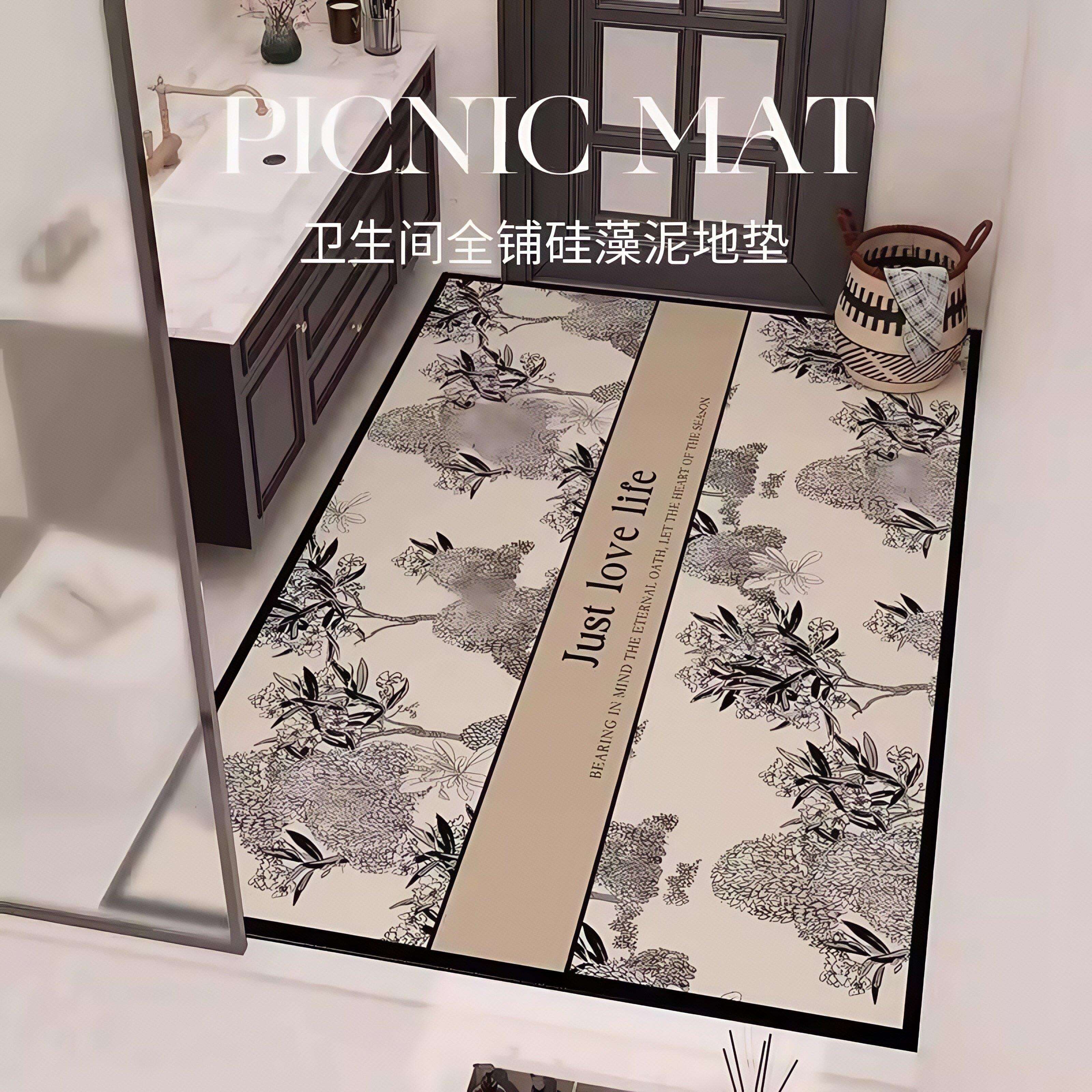 德国卫生间地垫浴室门口垫子全铺大尺寸地垫硅藻泥吸水防滑脚垫