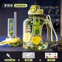 Двойные напитки Mint Green-2,6 л [импортированный Tritan/модернизированный чайный склад/Scale]