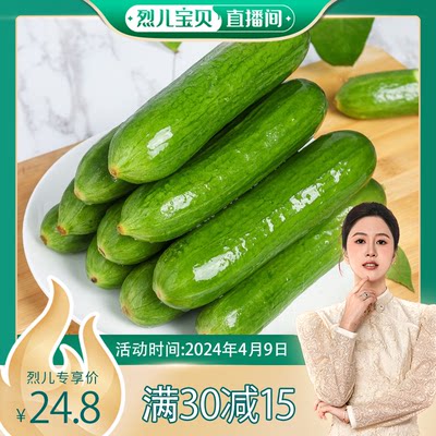 水果黄瓜新鲜生吃小黄瓜5斤青瓜时令蔬菜旱即食包邮