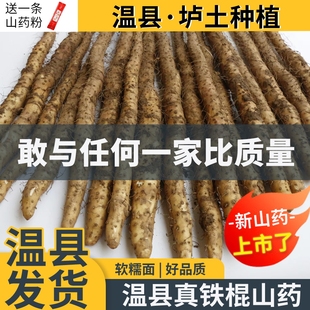 河南焦作温县垆土铁棍山药怀淮山药新鲜5斤特产铁杆怀山药