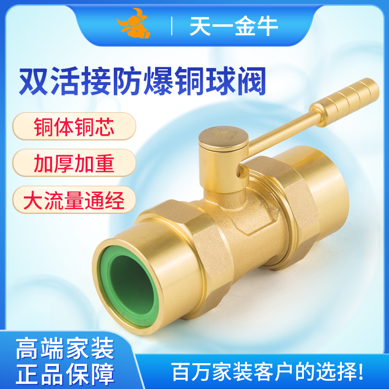 天一 金牛PPR双活接防爆铜阀门  4分 6分 1寸 ppr球阀 水管配件