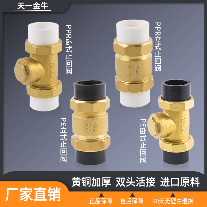 天一金牛全铜ppr双活接止回阀立式卧式4分6分1寸单向阀PE止逆阀