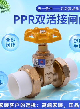天一 金牛 PPR双活接闸阀 活接阀门全铜PPR活接阀门 全铜截止闸阀