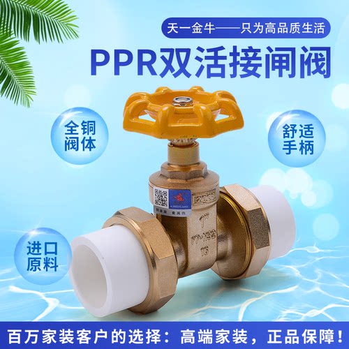 天一金牛全铜双活接闸阀