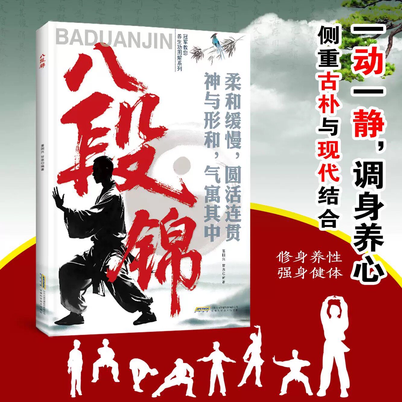 八段锦太极拳教程书籍修身养性强身健体传统武术训练教材