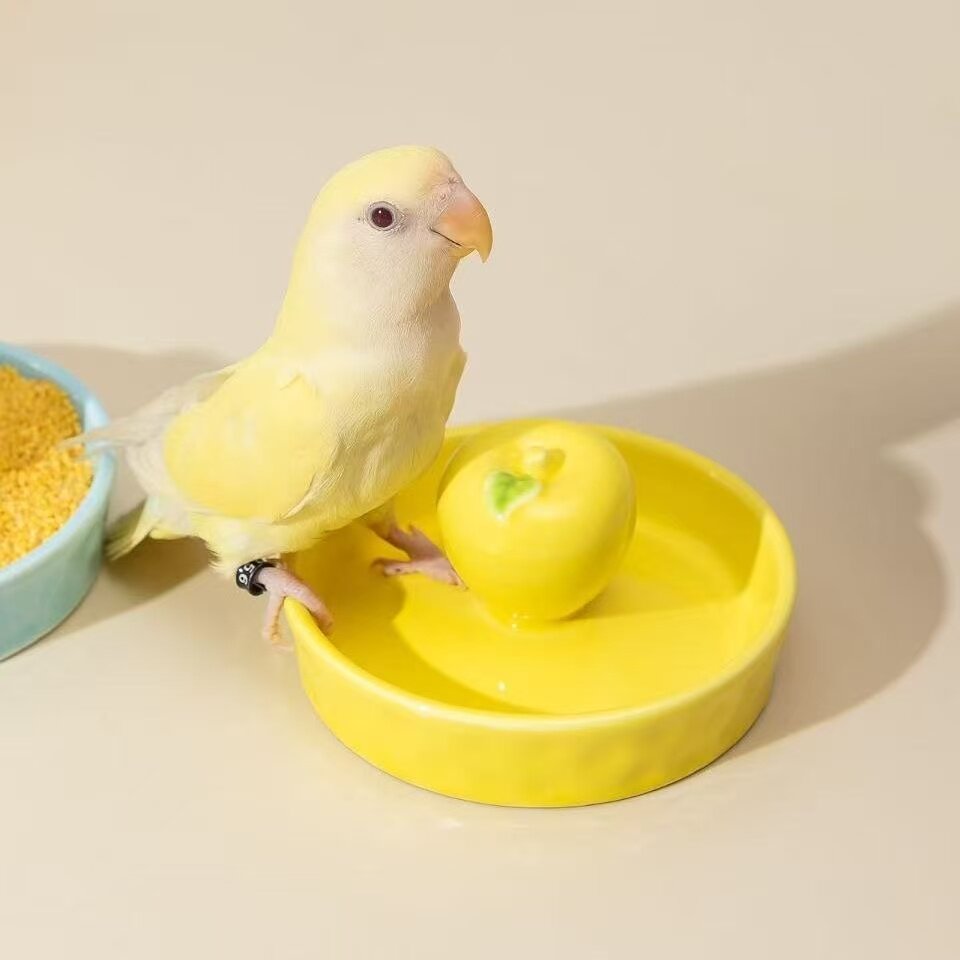 鹦鹉陶瓷幼鸟防溅食碗食盆虎皮