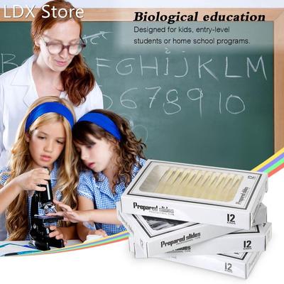 48pcs/set Plastic Prepared Microscope Slides Animals Insects