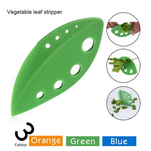 Vegetables Leaf Separator Plastic Green Rosemary Thyme Cabba