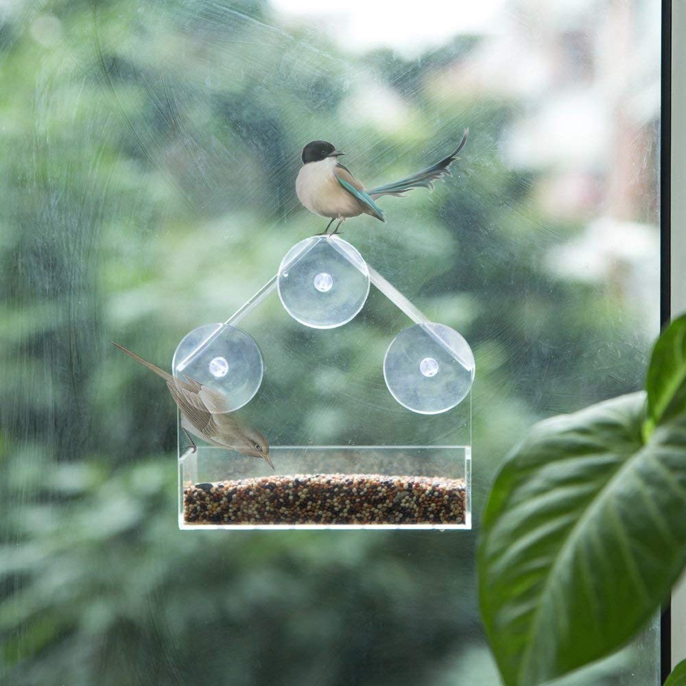 Acrylic Transparent Bird Feeder Window Viewing Bird Feeders