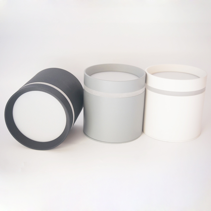 Surface Mounted Ceiling Downlight lamp for ceiling led light