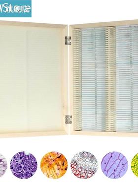100pcs/set Microscope Slides Animal Plant Insects Tissues Sp