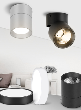 Led Downlight Foldable LED Spotlight 220V Ceiling 5/10/15/25