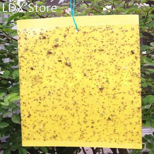 Sided Flyin 20Pcs 适用于 Convenient Traps Yellow Dual Sticky