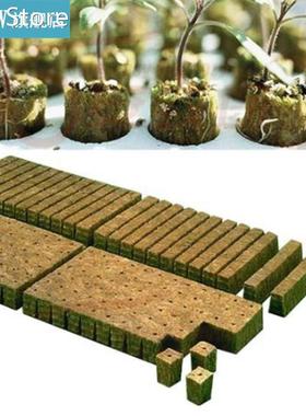 Rockwool Plant Starter Cube Hydroponic Grow Soilless Cultiva