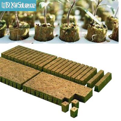 Rockwool Plant Starter Cube Hydroponic Grow Soilless Cultiva