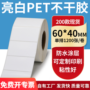 亮白PET标签纸60*40mm不干胶白色防水贴纸防油撕不烂PVC6x4cm定制