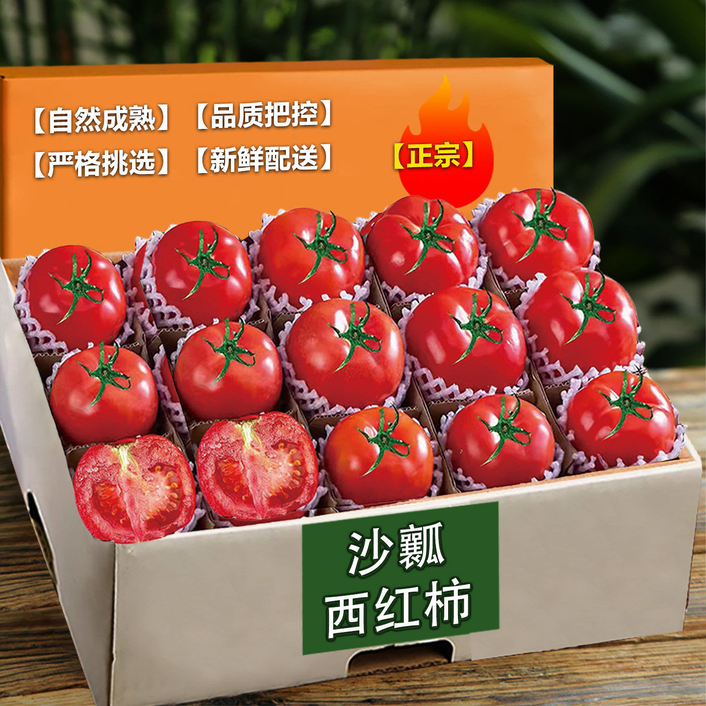 沙瓤西红柿新鲜现摘农家自种自然熟老品种生吃水果大番茄柿子蔬菜