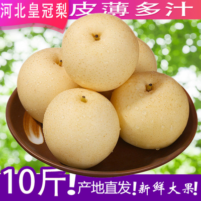 正宗皇冠梨子新鲜10斤水果
