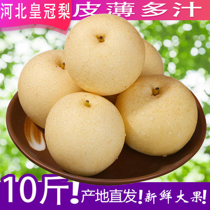 河北正宗皇冠梨子新鲜10斤水果非水晶鸭梨雪梨砀山梨翠冠梨整箱