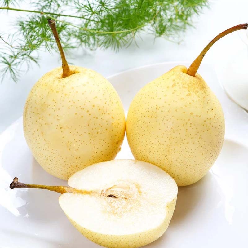 现摘新鲜水果梨子河北鸭梨10斤整箱皇冠梨水晶梨砀山梨苹果梨雪梨 鲜惠语水果旗舰店 淘优券