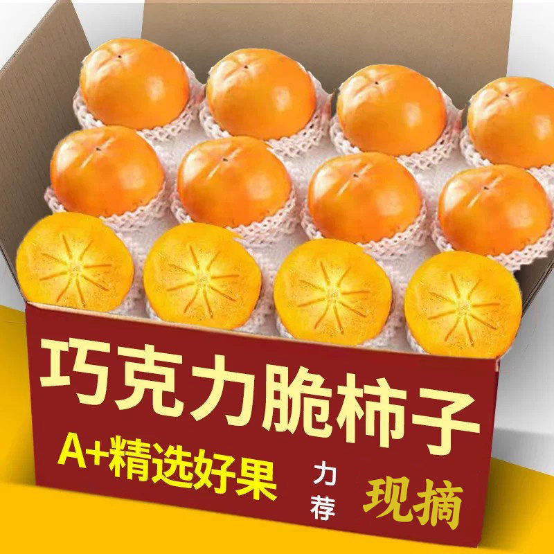 巧克力脆柿子水果新鲜当季整箱包邮大果黄硬甜脆火晶小柿子甜