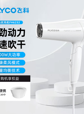 飞科大功率吹风机家用可折叠负离子护发电吹风学生宿舍大风力风筒