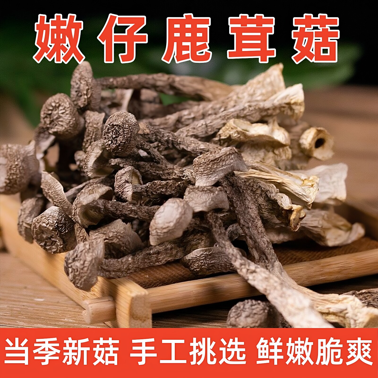 当季食用菌干货鹿茸菇菌菇汤包产地直销新鲜干香菇土特产煲汤食材