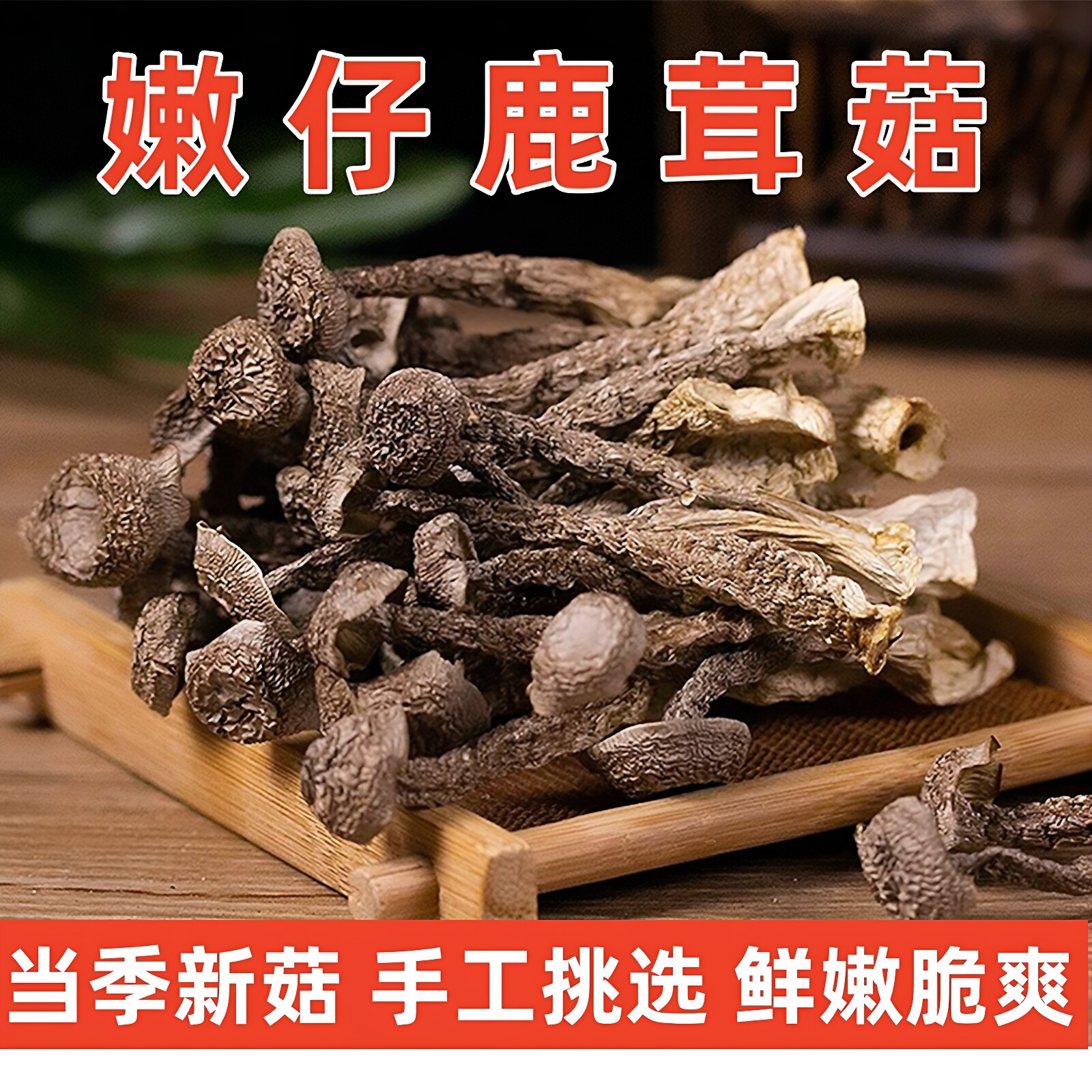 当季鹿茸菇干货特产香菇干蘑菇食用菌菇类新鲜鲜嫩煲汤食材脆脆菇