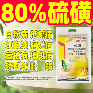 80%硫磺 白粉病专用杀菌剂苹果树白粉病专用药白粉病克星正品农药