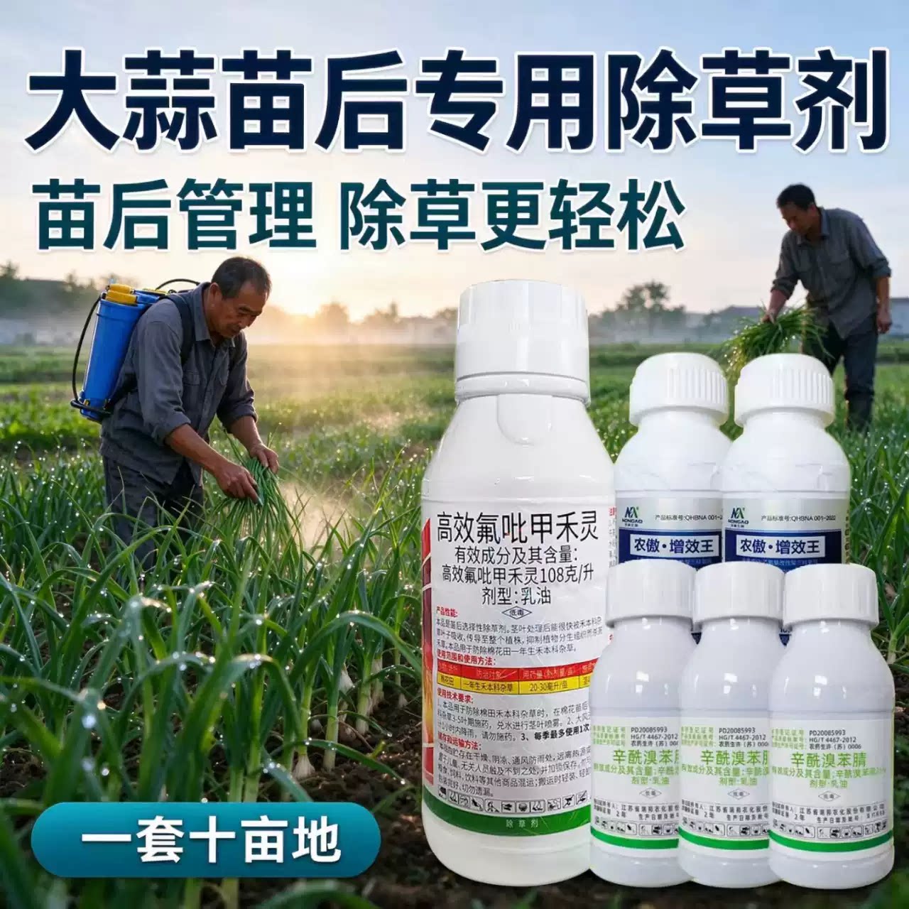 大蒜苗后专用除草剂套餐