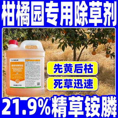精草铵膦铵盐柑橘园专用除草剂