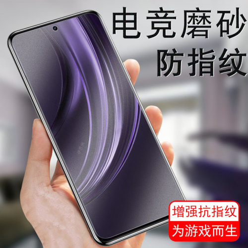 realme真我13+rmx3996磨砂钢化膜