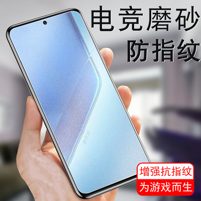 适用iqooneo10pro+/v2463a磨砂膜