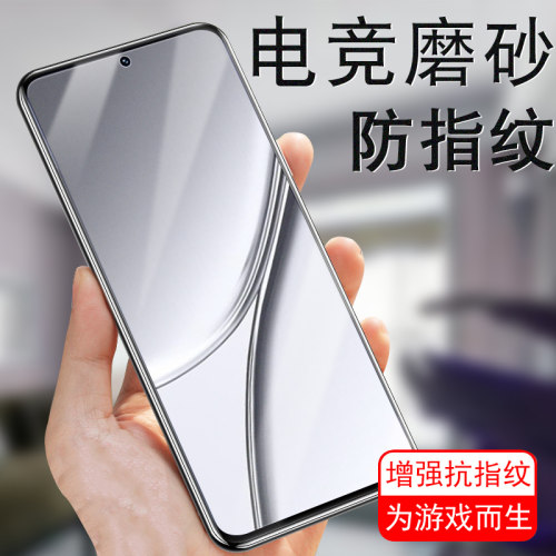 realmegt5/rmx3823磨砂钢化膜