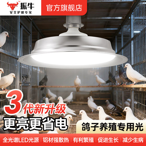鸽子补光灯全光谱仿太阳补钙灯uvb鸽子鸟类大棚养殖专用led生长灯
