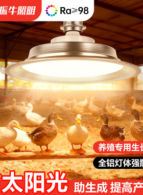 鸭舍动物生长灯鸟类鸽子繁殖灯宠物禽畜养殖场专用全光谱补光灯