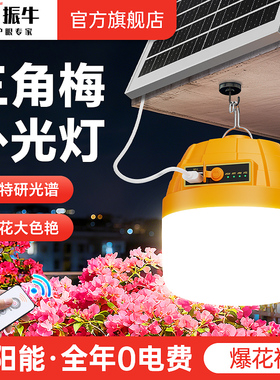 植物补光灯阳台三角梅花led室内外绿植全光谱仿太阳能户外生长灯