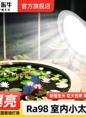 植物补光灯室内大棚蔬菜花卉蓝莓盆栽专用灯仿太阳led绿植生长灯