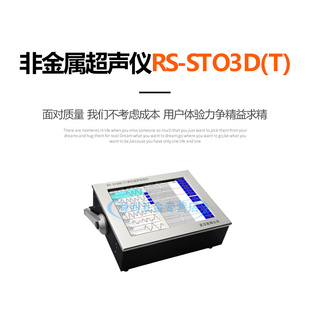 武汉岩海RS ST03D 跨孔超声波检测仪超声检测仪非金属超声