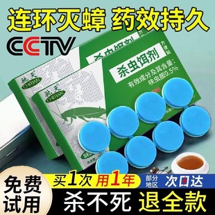 灭蟑螂药家用杀蟑胶饵剂贴屋全窝端方便贴强力粘神器杀蟑螂蚂蚁