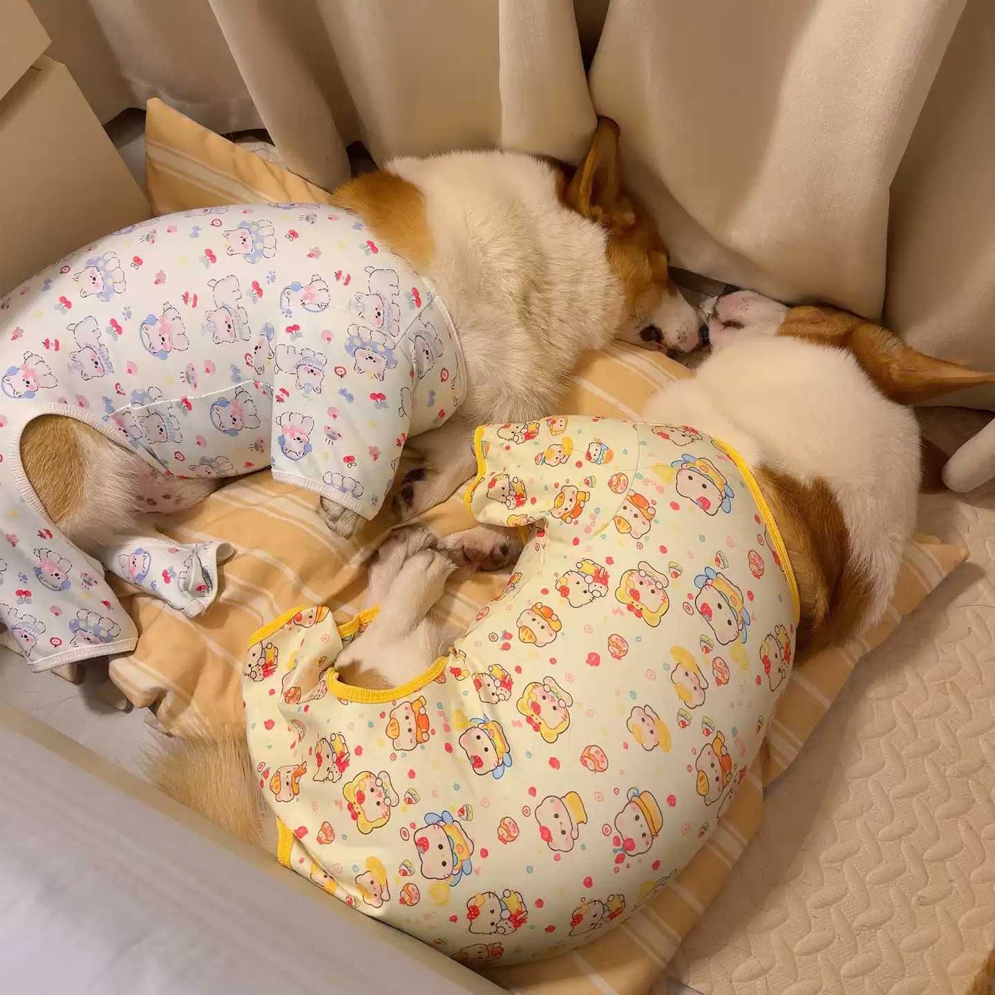 狗狗衣服小型犬大型防掉毛防脏