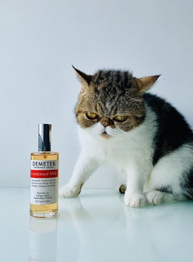 帝门特浓缩牛奶炼乳Demeter Fragrance Condensed Milk奶香水