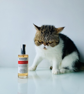 帝门特浓缩牛奶炼乳Demeter Fragrance Condensed Milk奶香水