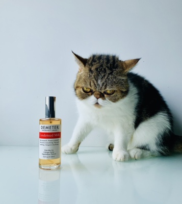 帝门特炼乳浓缩牛奶奶香