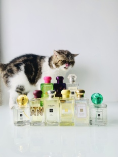 缅栀花紫罗兰与琥珀星花玉兰黄色木槿月色洋甘菊浓香小样